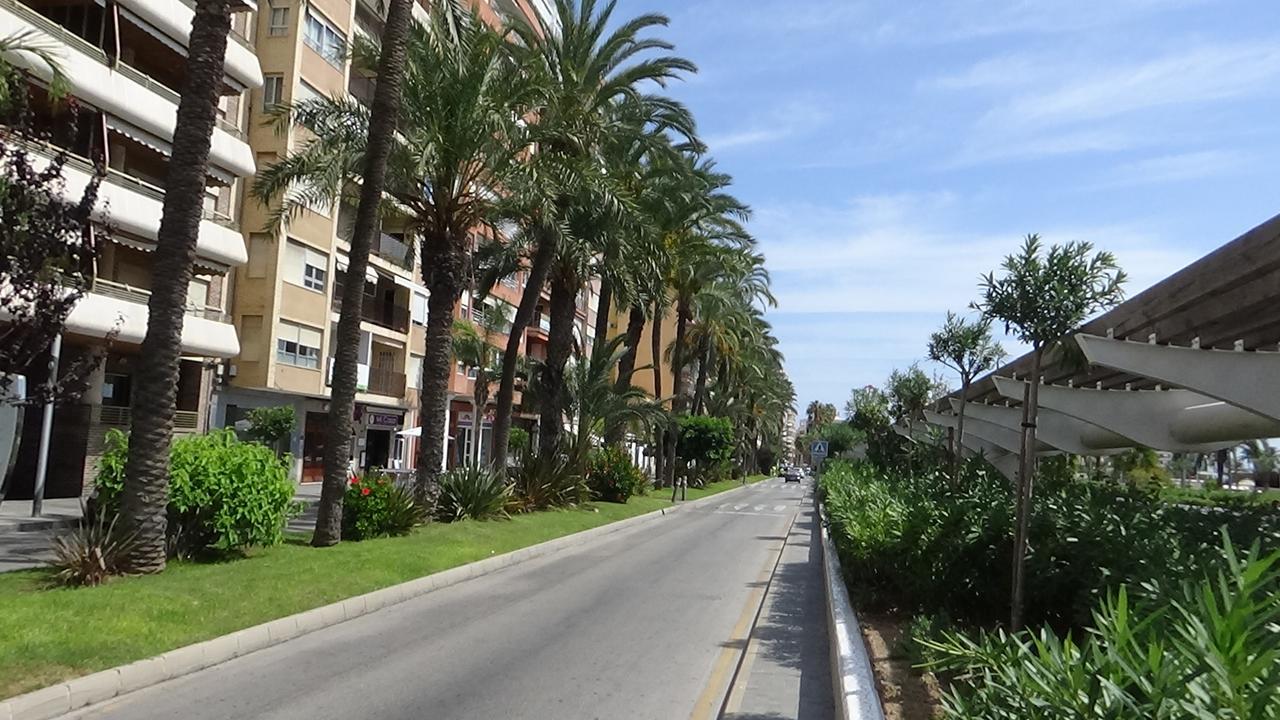 Vida Sol Lägenhet Torrevieja Exteriör bild